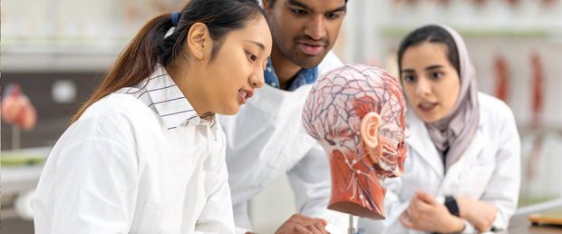 Medical School Revision Essentials