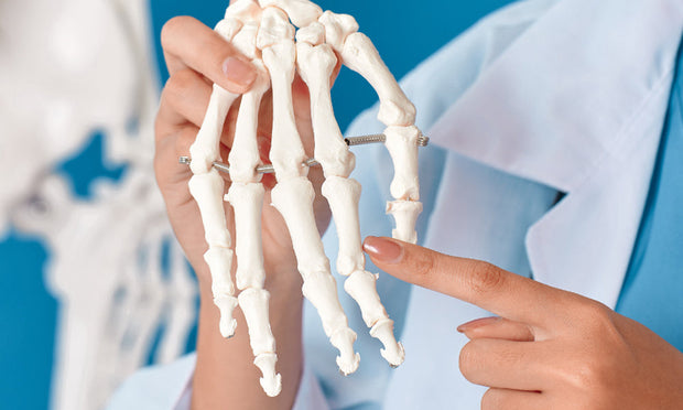 Hand & Wrist Anatomy