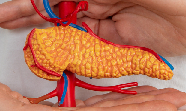 The Endocrine System