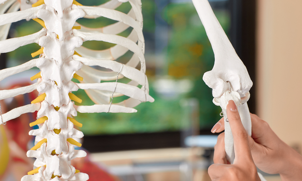 Types of Skeletal Joints