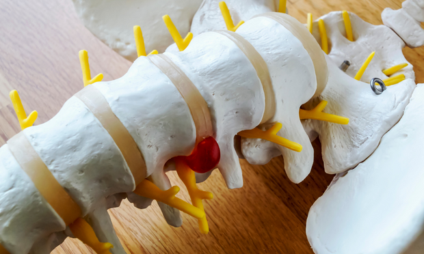 Spine Anatomy (Vertebrae)