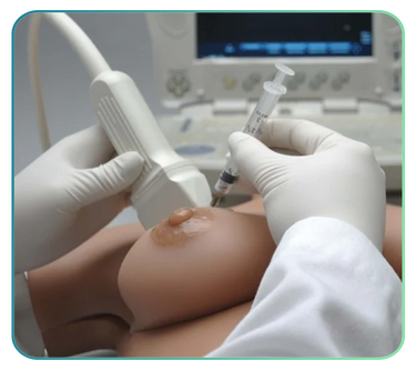 Breast & Testicle Exam Trainers