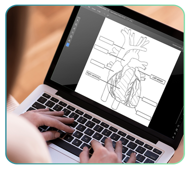 Digital Download PDFs