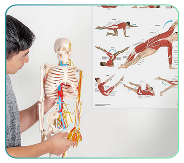 Sports & Exercise Posters