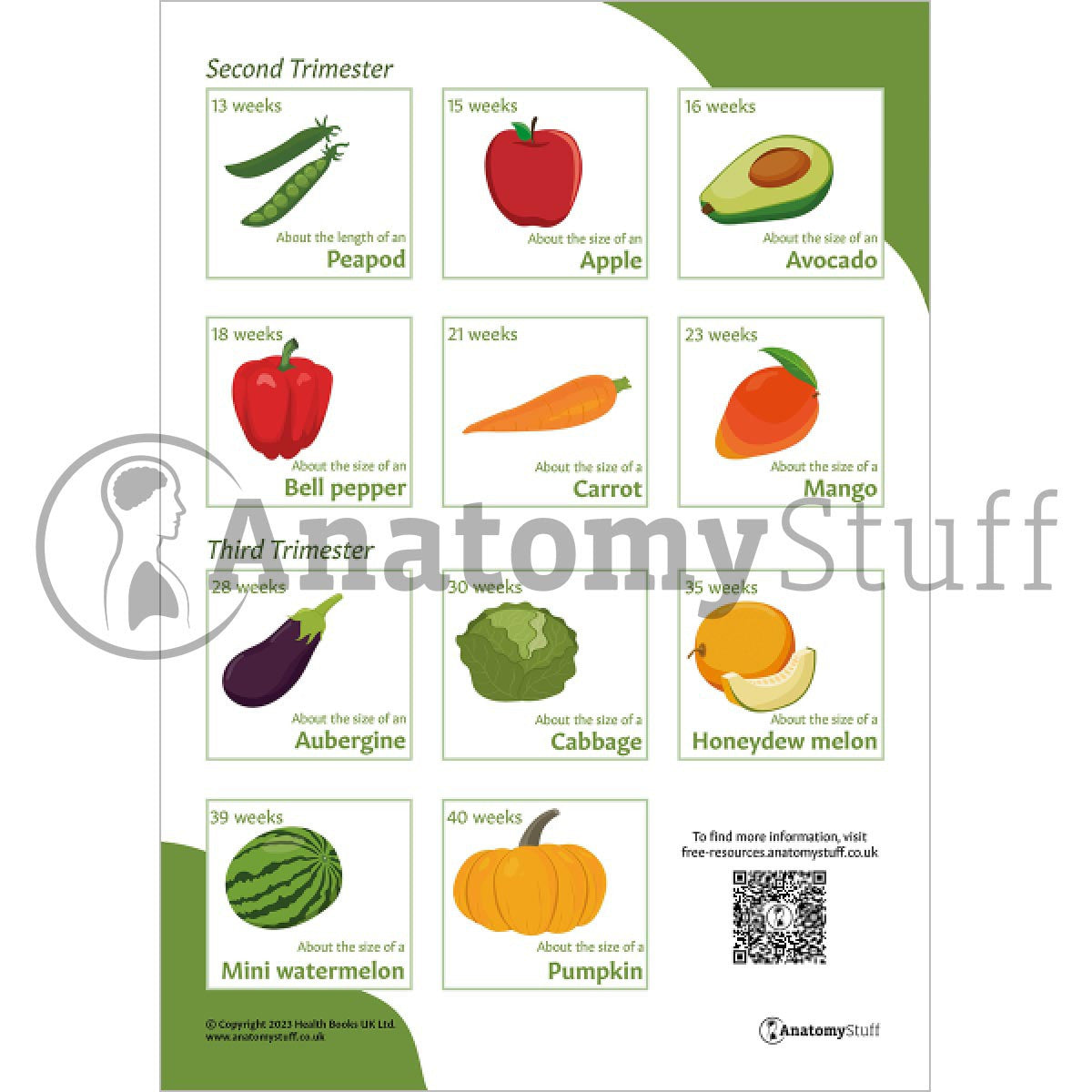 How Big Is Our Baby? (Printable PDFs)