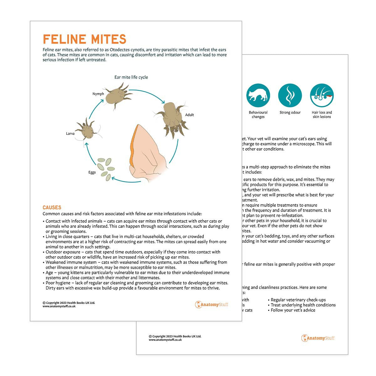 Feline Mites Pet Owner Education Handout (Printable PDF)