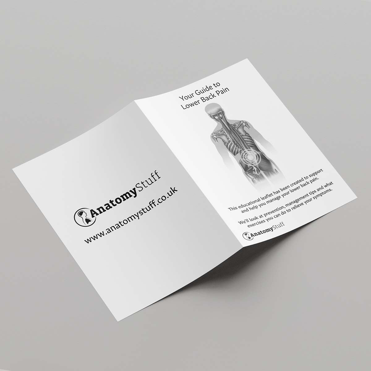 Your Guide To Lower Back Pain Leaflet (Printable PDF)