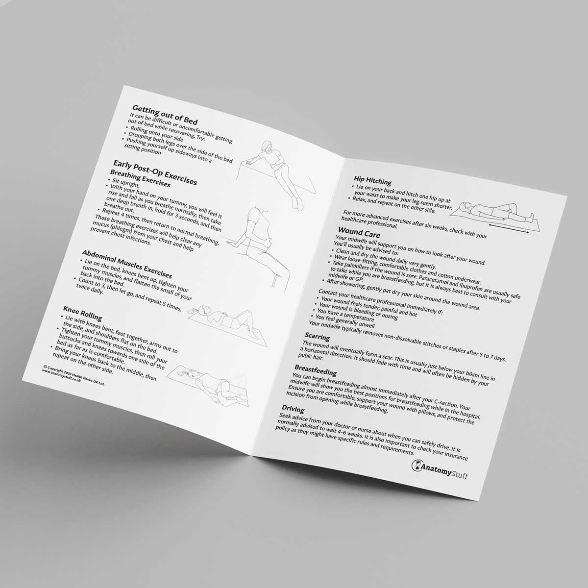 C-Section Aftercare Exercises Leaflet (Printable PDF)
