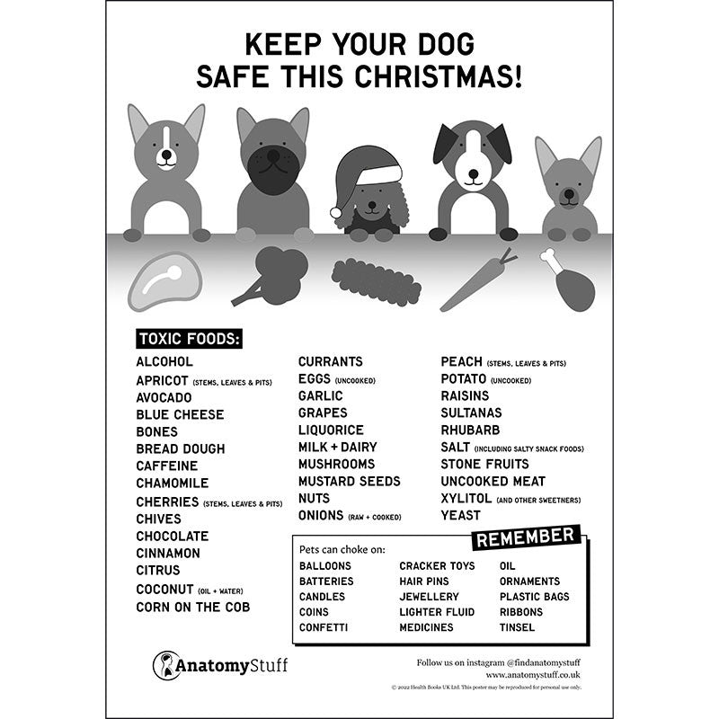 Keep Your Pet Safe At Christmas Free PDF