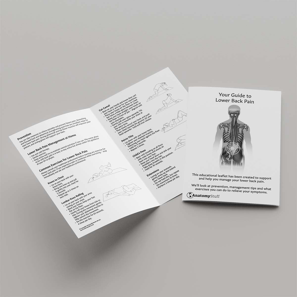 Your Guide To Lower Back Pain Leaflet (Printable PDF)