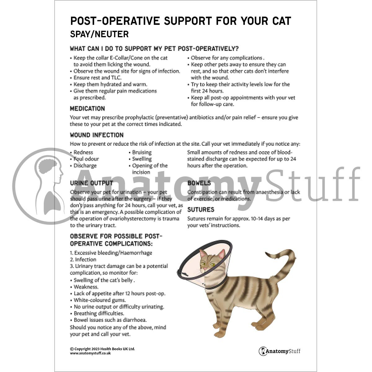 Post-Operative Support for Your Cat printable PDF