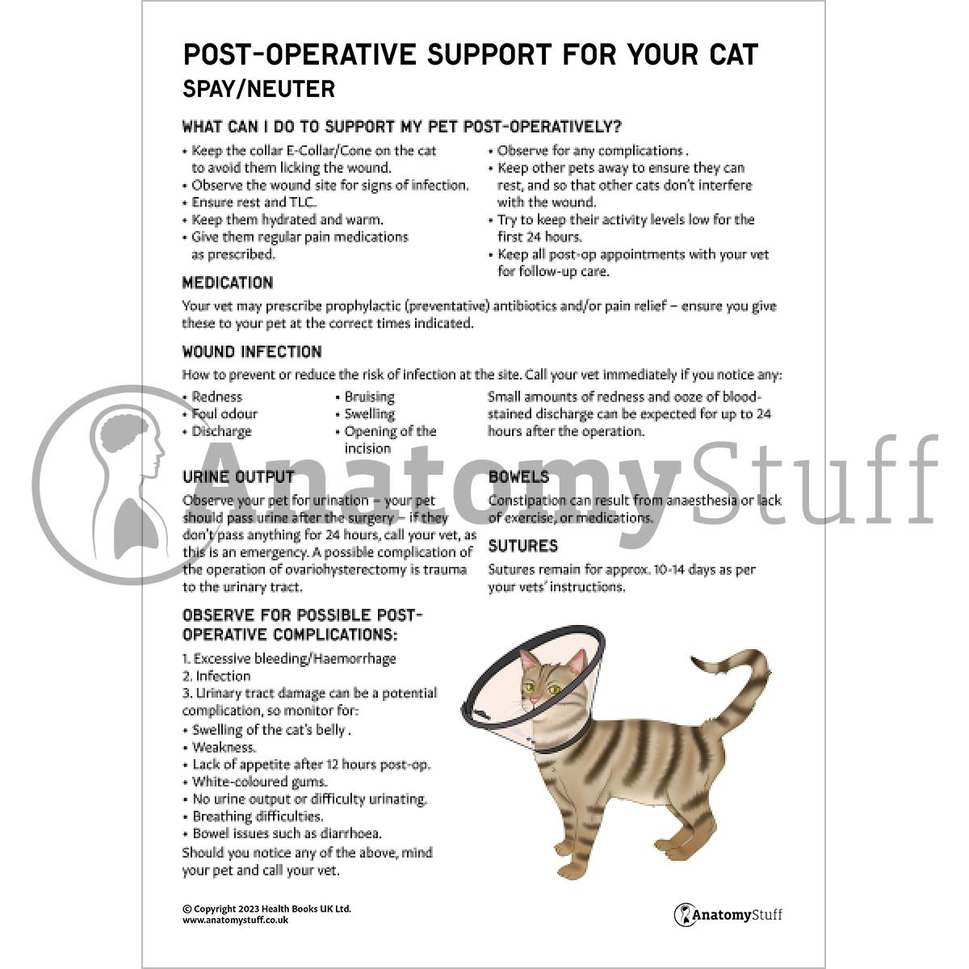 Post-Operative Support for Your Pet Bundle (Printable PDFs)