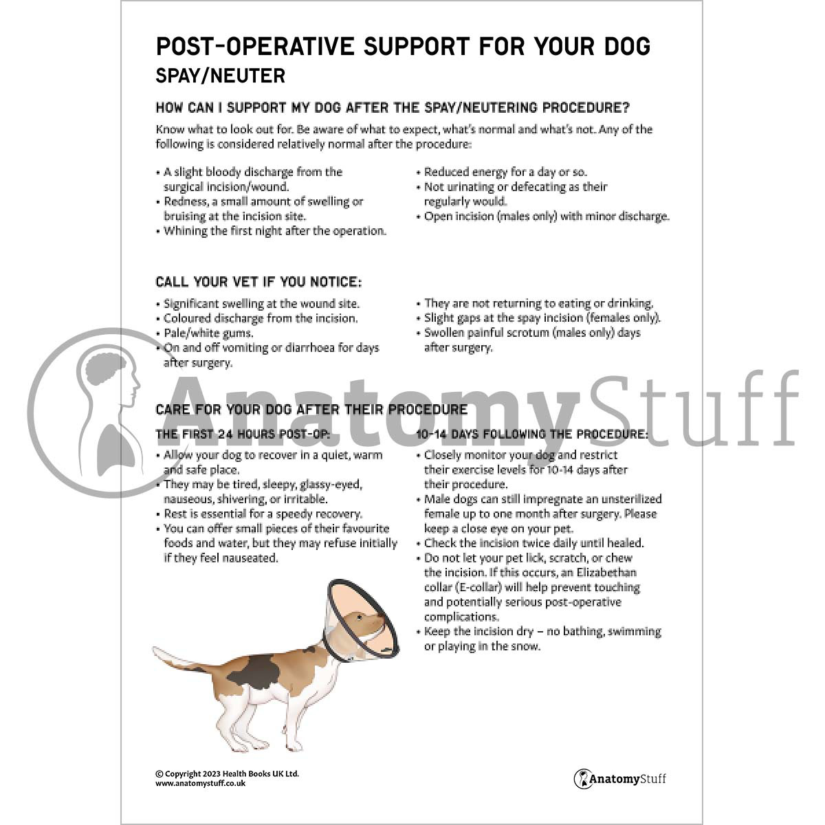 Post-Operative Support for Your Pet Bundle (Printable PDFs)