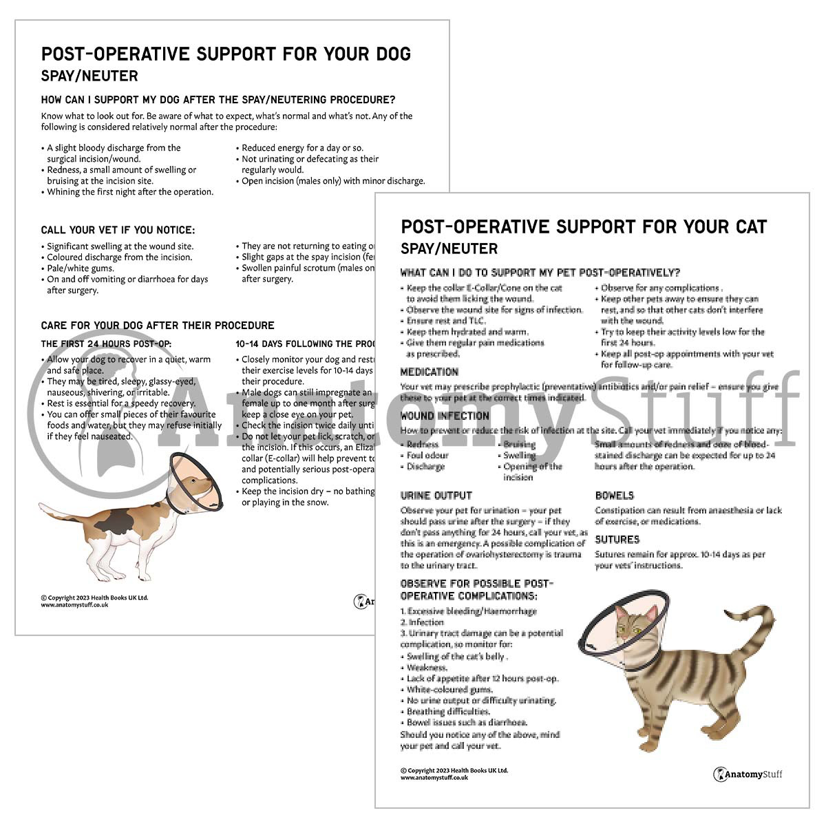 Post-Operative Support for Your Pet Bundle