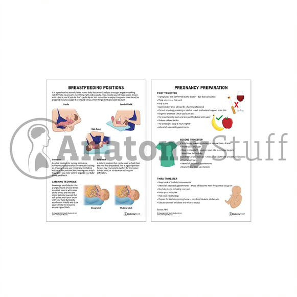 Antenatal Support Pack (Printable PDFs)