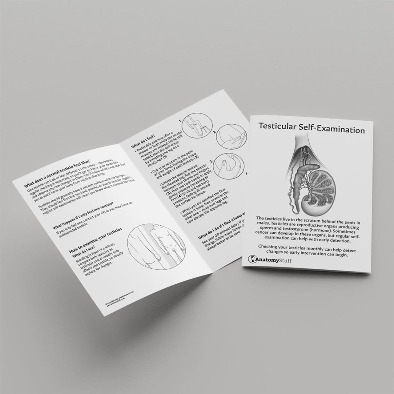 <strong>Testicular Self-Examination Leaflet</strong>