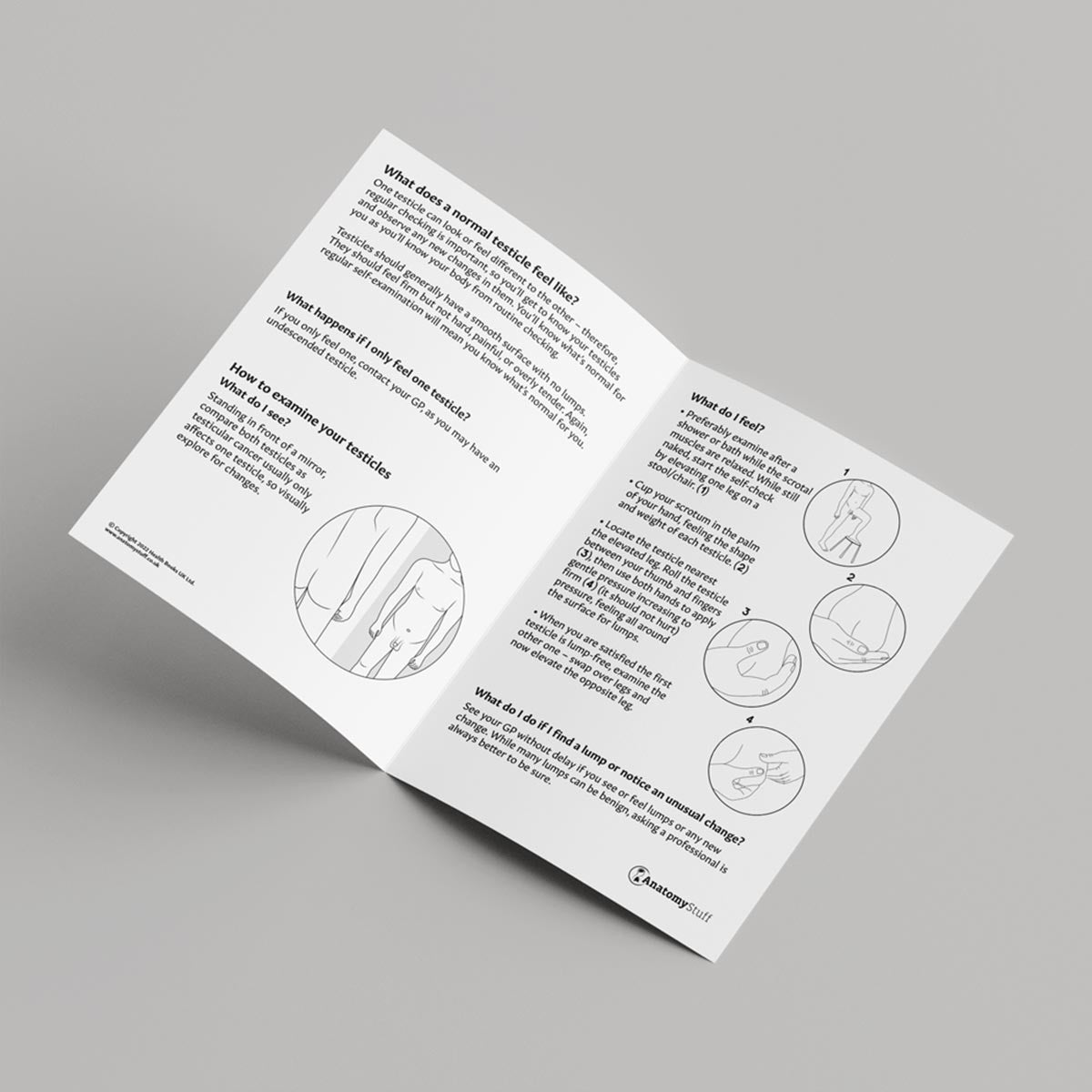 Testicular Self-Examination Leaflet (Printable PDF)