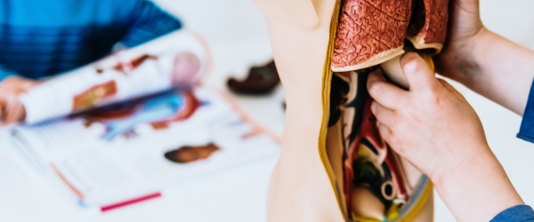 Resources for Teachers