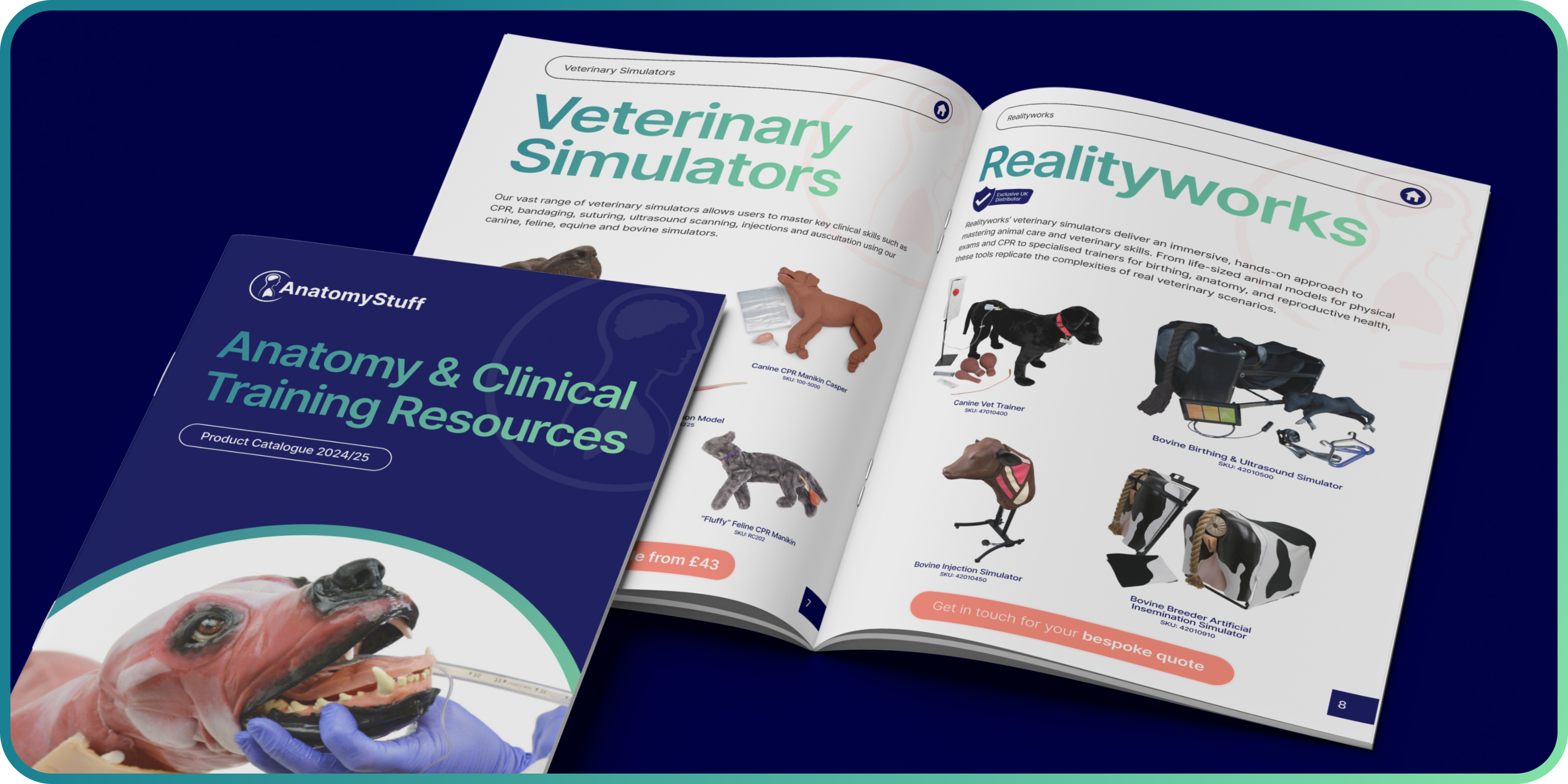 Veterinary Anatomy Resources