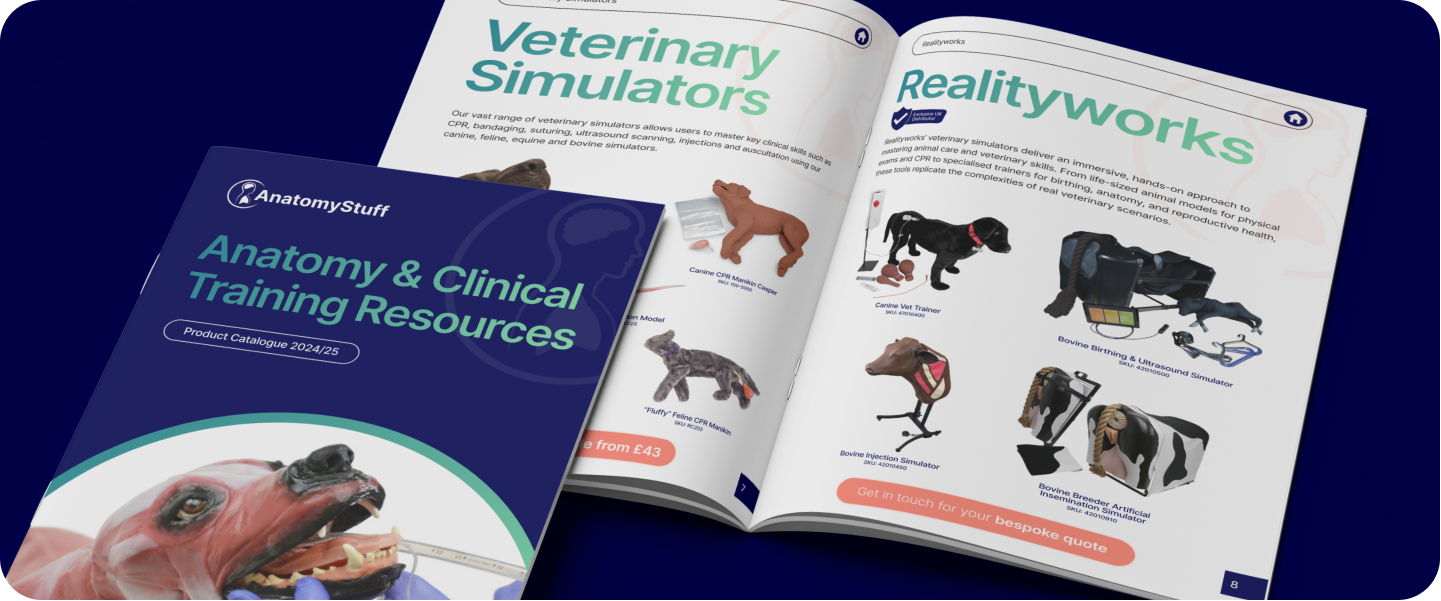 Download Our Latest Brochure