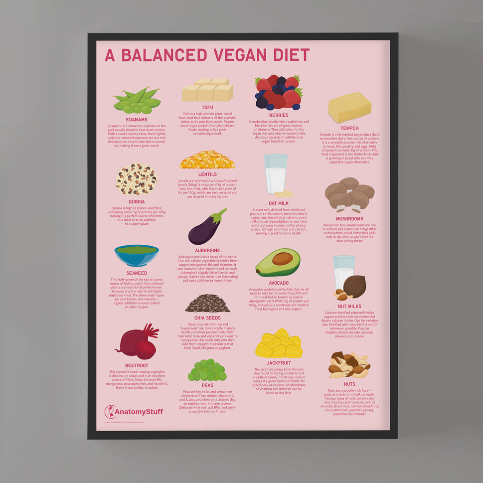 A Balanced Vegan Diet Chart / Poster