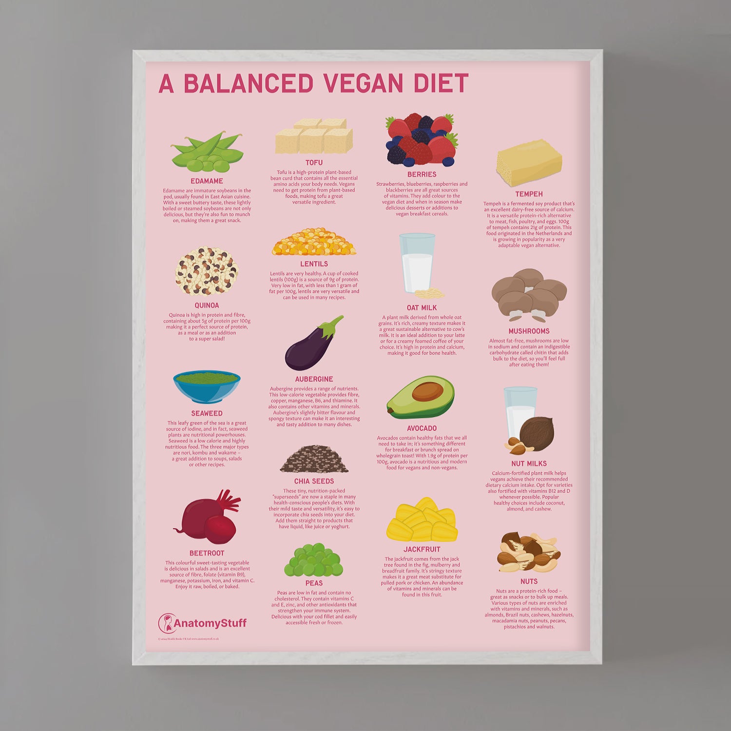 A Balanced Vegan Diet Chart / Poster