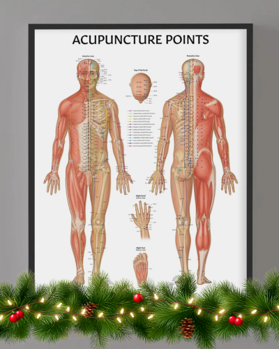 Acupuncture Points
