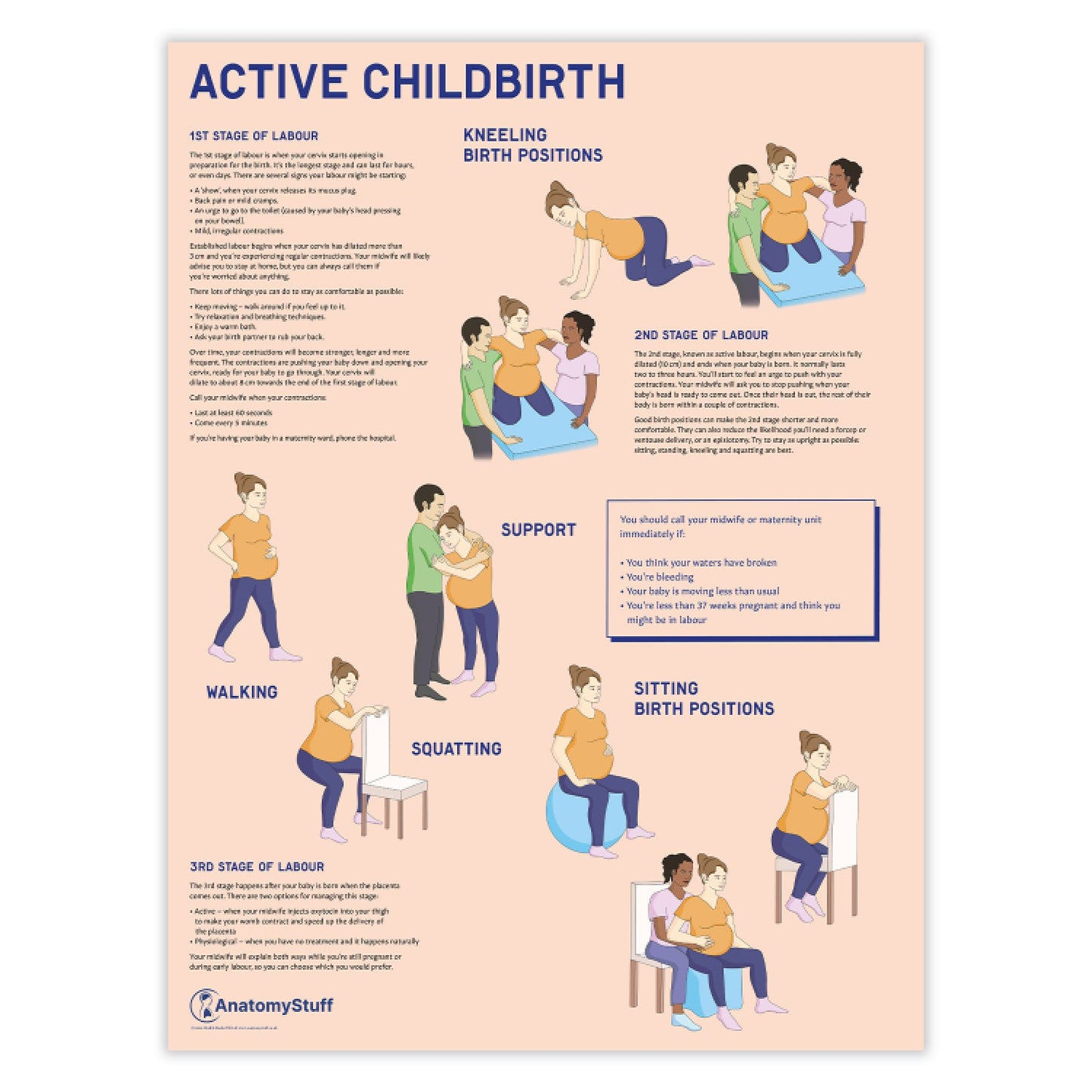 Active Childbirth (Positions for Labour) Chart / Poster