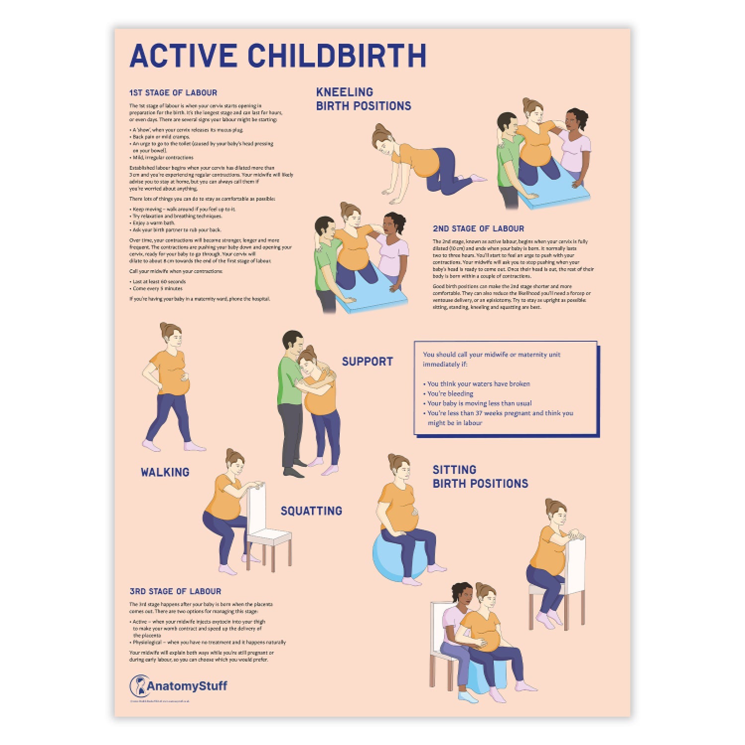 Active Childbirth (Positions for Labour) Chart / Poster