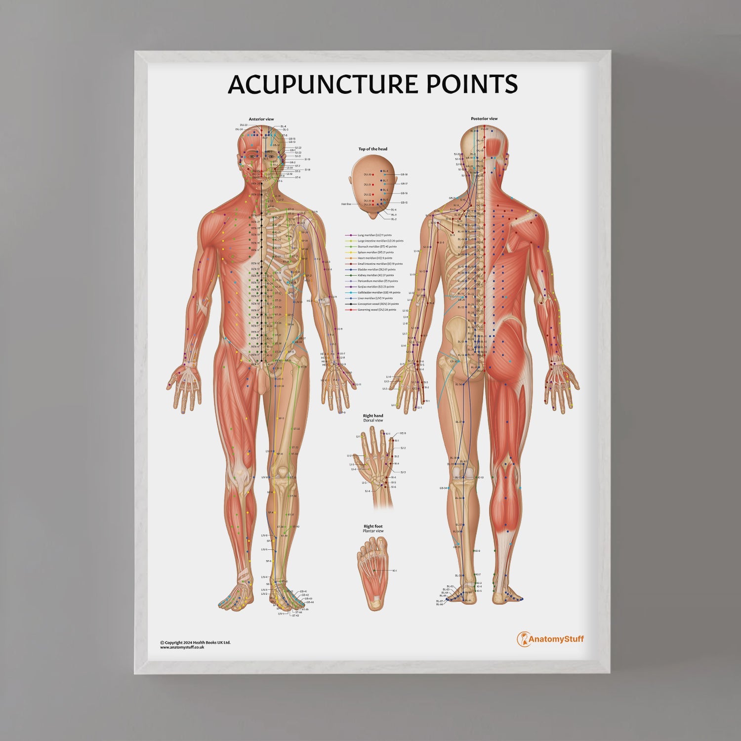 Acupuncture Points Chart / Poster