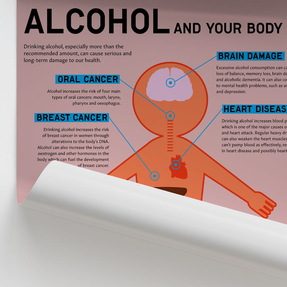 "Alcohol and Your Body" Drink Awareness Chart / Poster