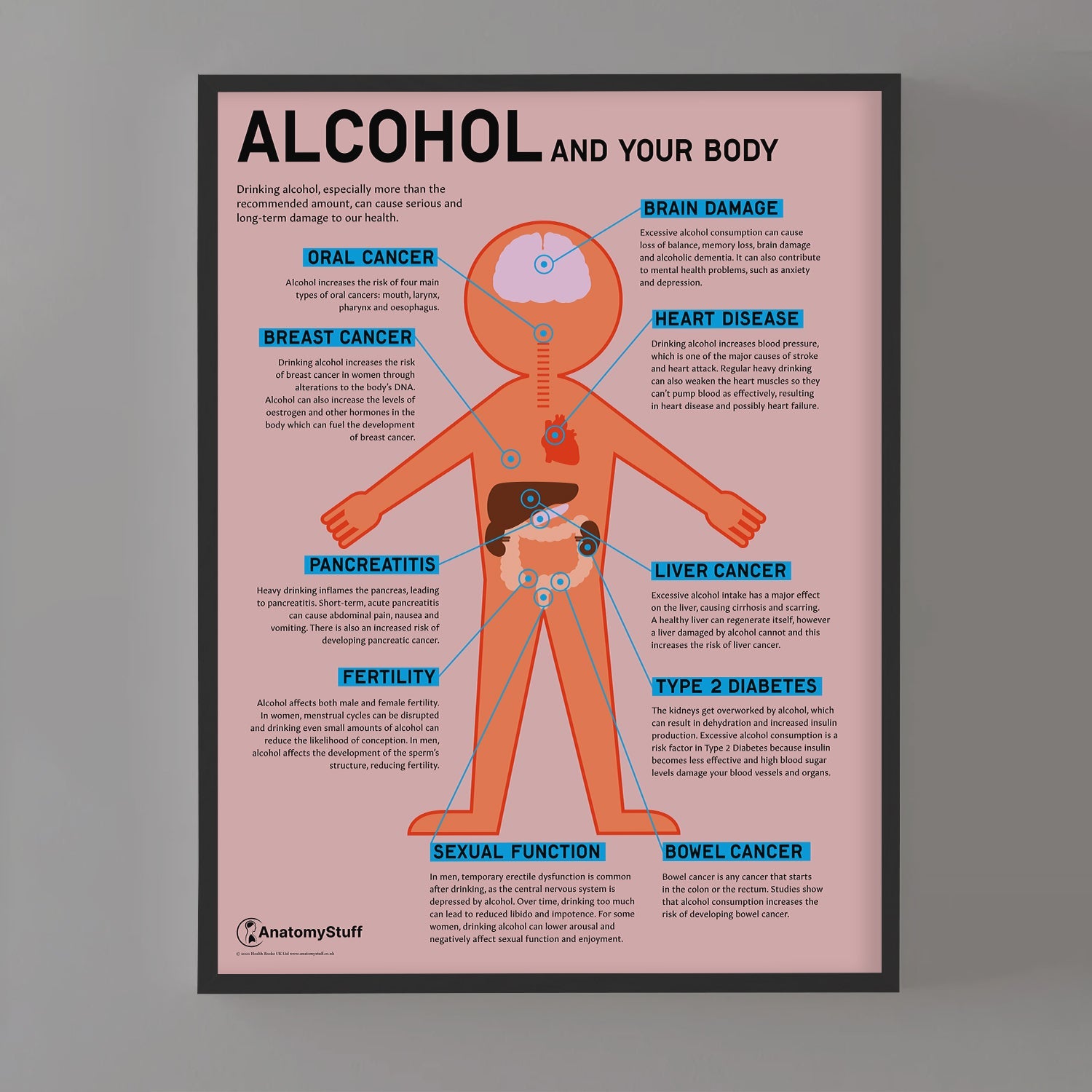 "Alcohol and Your Body" Drink Awareness Chart / Poster