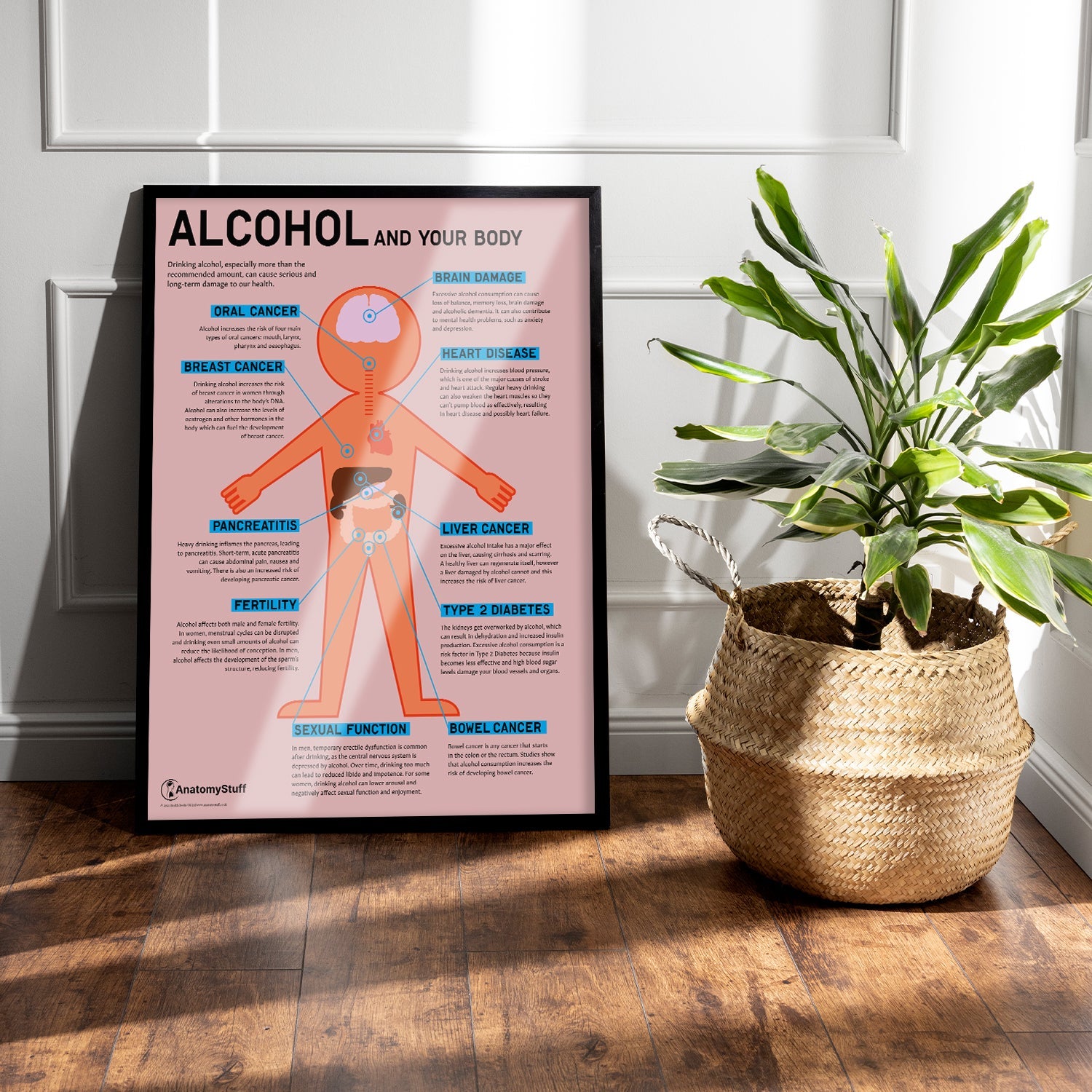 "Alcohol and Your Body" Drink Awareness Chart / Poster