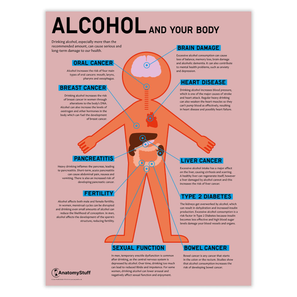 "Alcohol and Your Body" Drink Awareness Chart / Poster