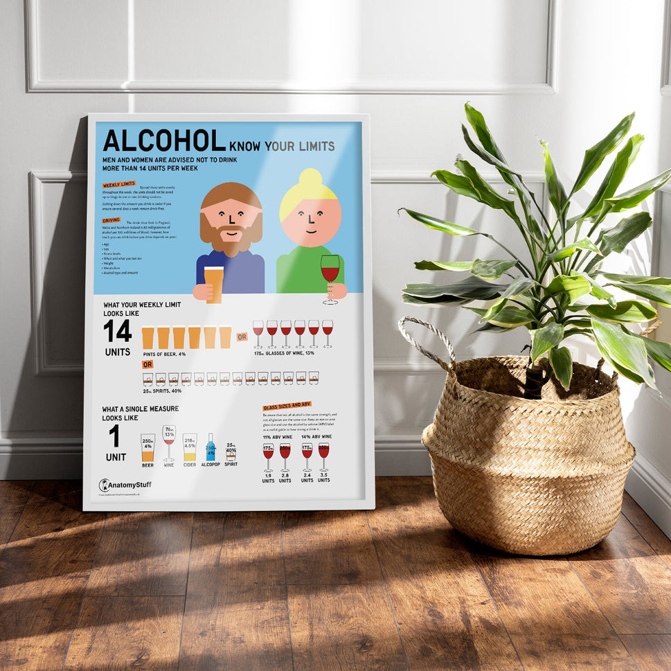 "Know Your Limits" Alcohol Education Poster