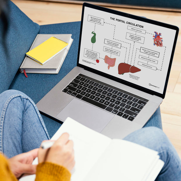 <strong>Anatomy Revision Hub</strong>