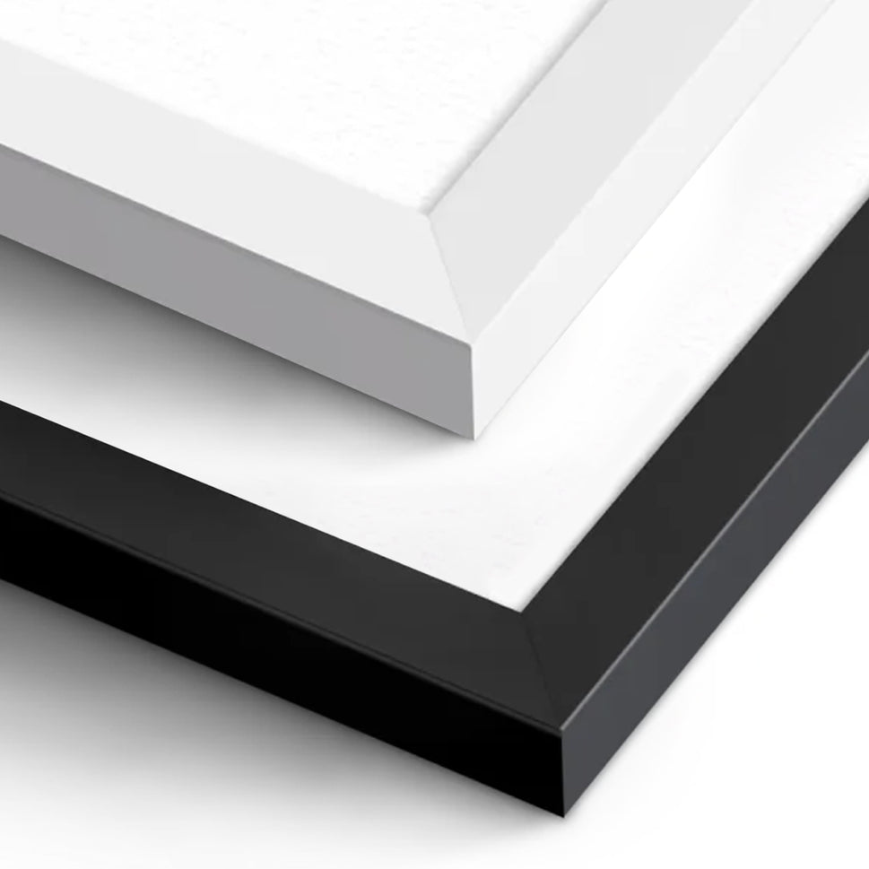 The Anatomy of Cholesterol Chart / Poster