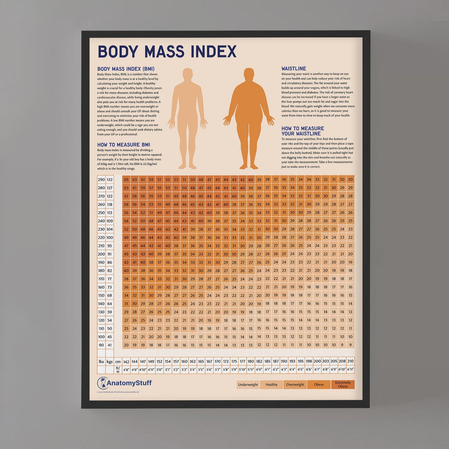 Body Mass Index (BMI) Chart / Poster