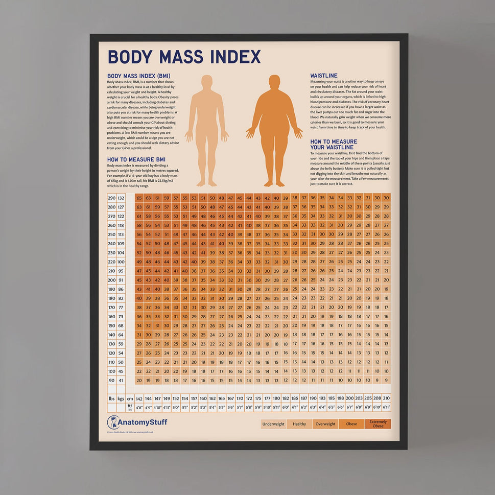 Body Mass Index (BMI) Chart / Poster