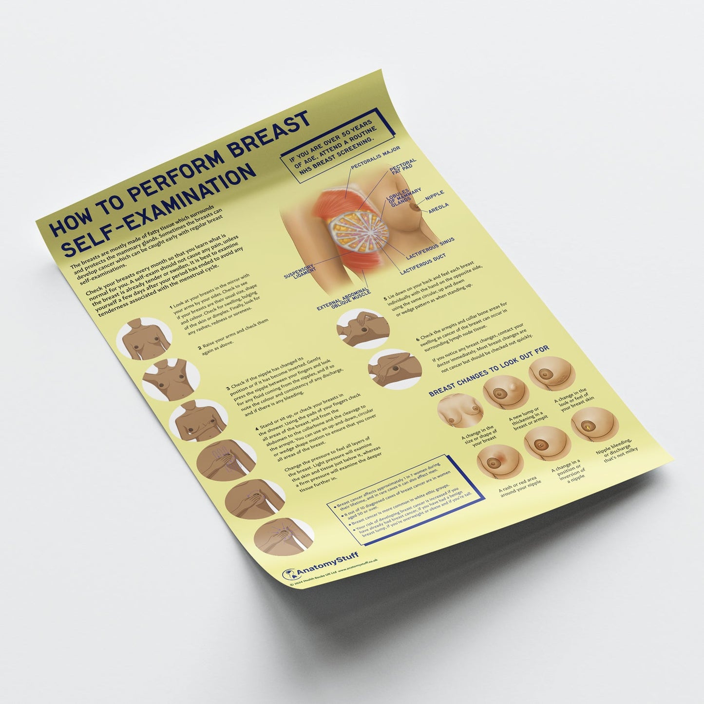 How to Perform Breast Self Examination (BSE) Chart / Poster