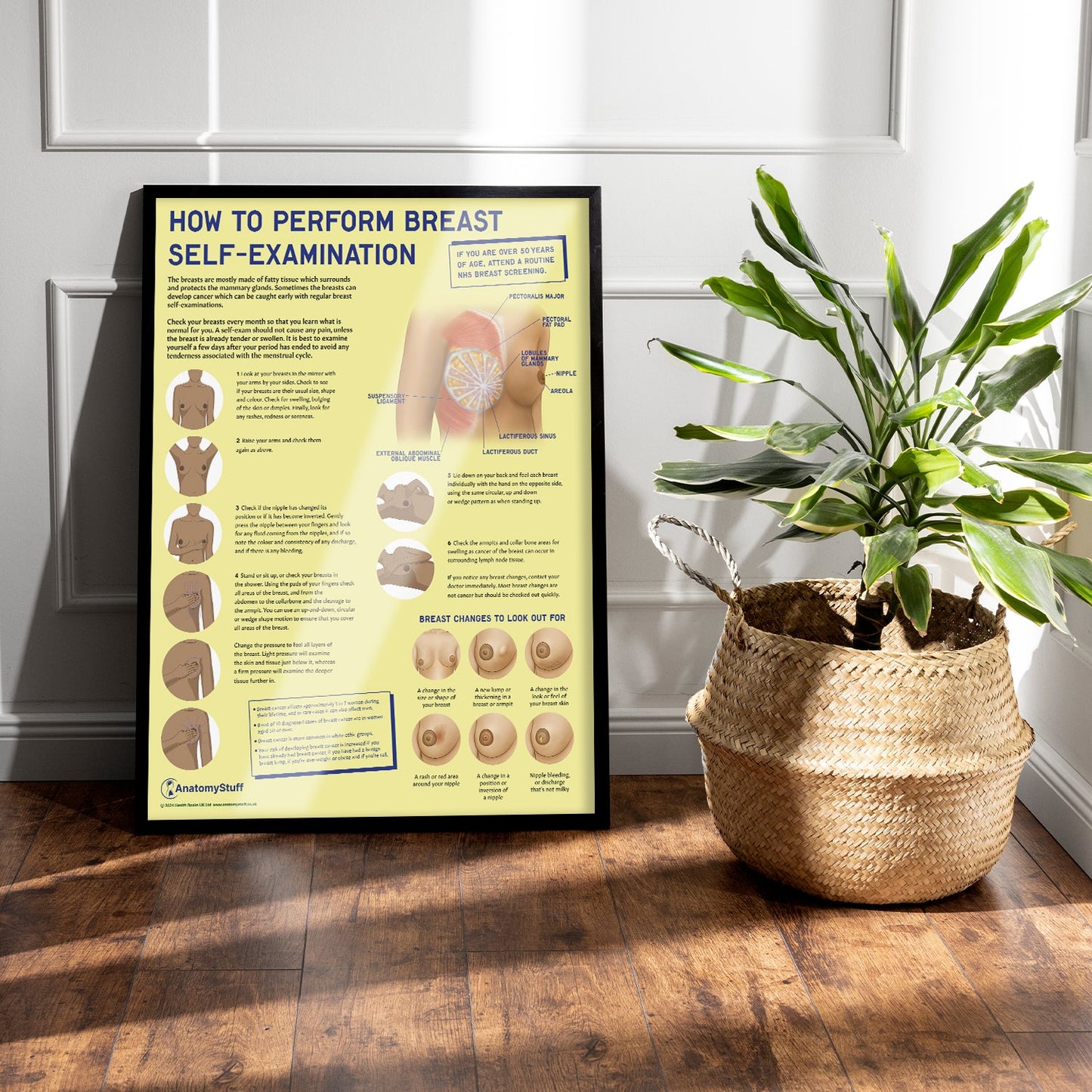 How to Perform Breast Self Examination (BSE) Chart / Poster