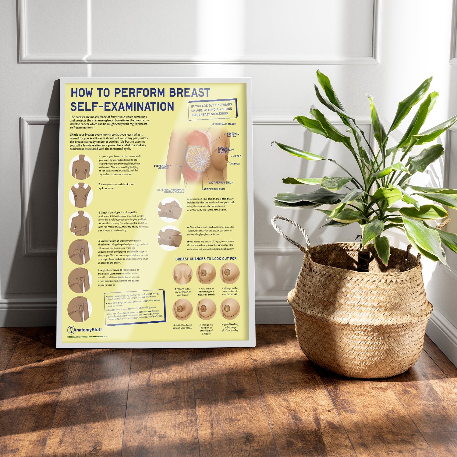 How to Perform Breast Self Examination (BSE) Chart / Poster