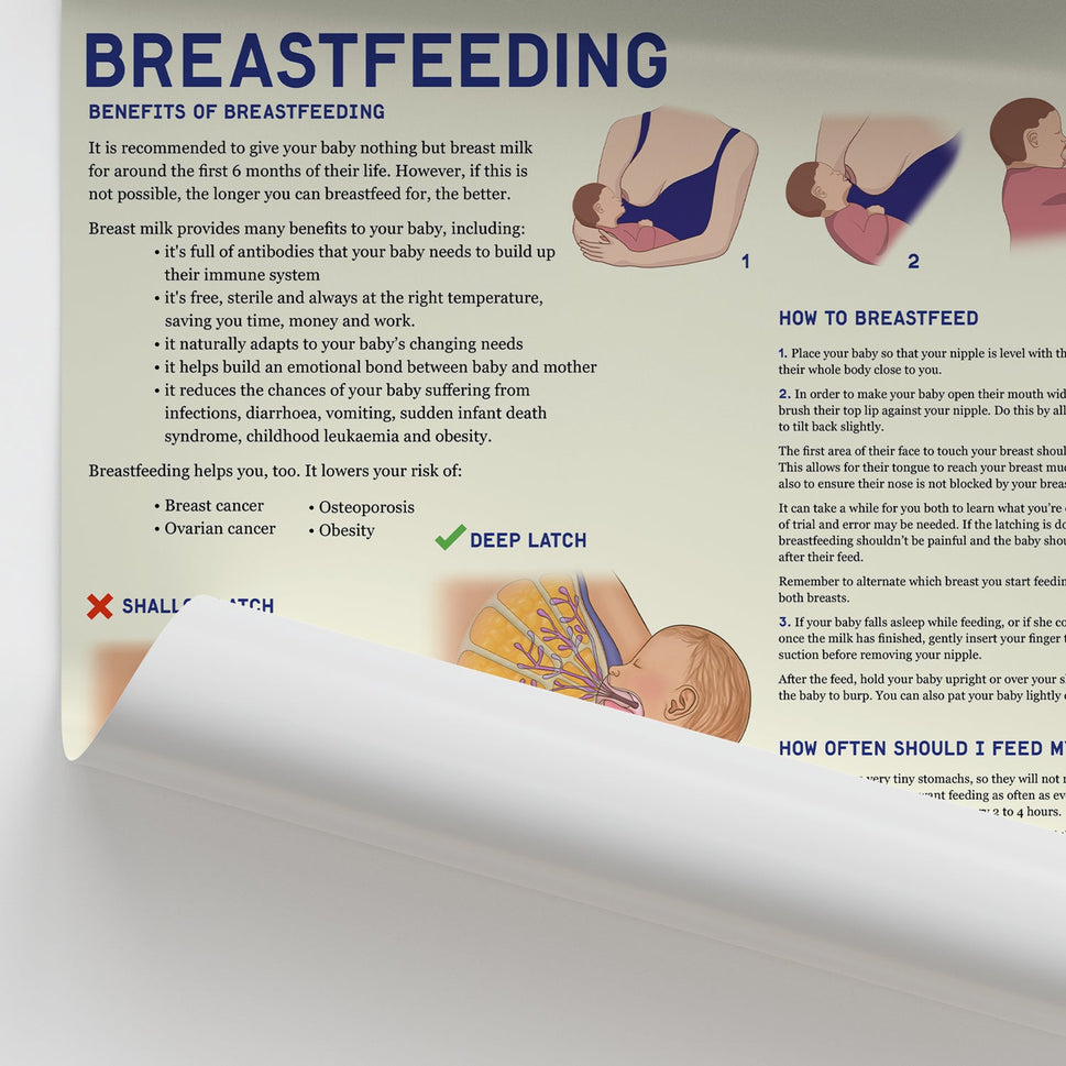 Breastfeeding Chart / Poster