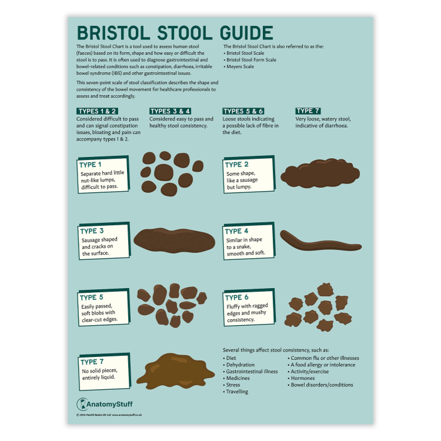 Bristol Stool Chart / Poster