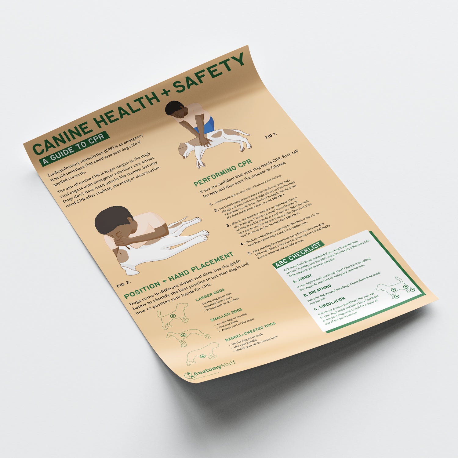 Canine Health & Safety: A Guide to CPR for Dogs Chart / Poster