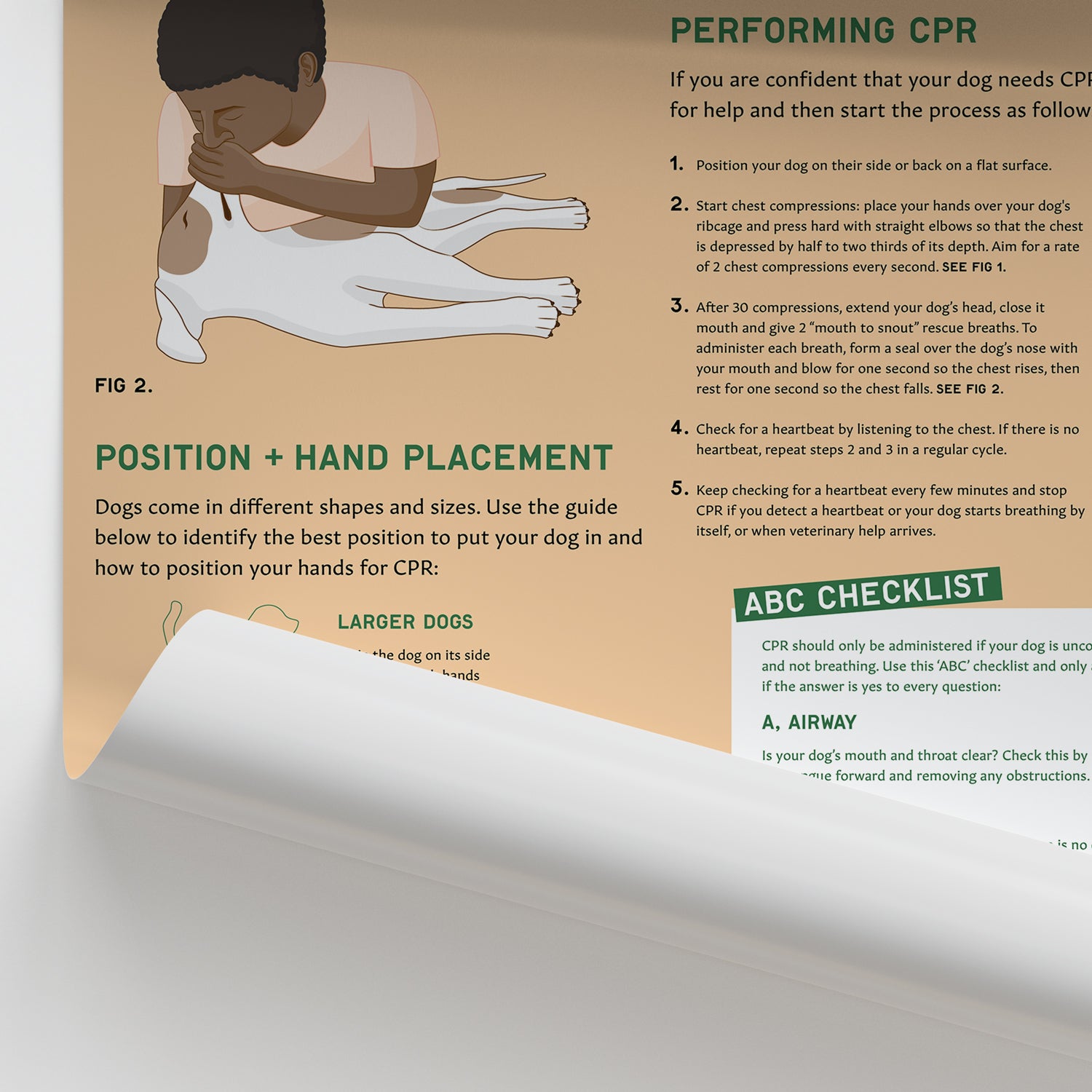 Canine Health & Safety: A Guide to CPR for Dogs Chart / Poster