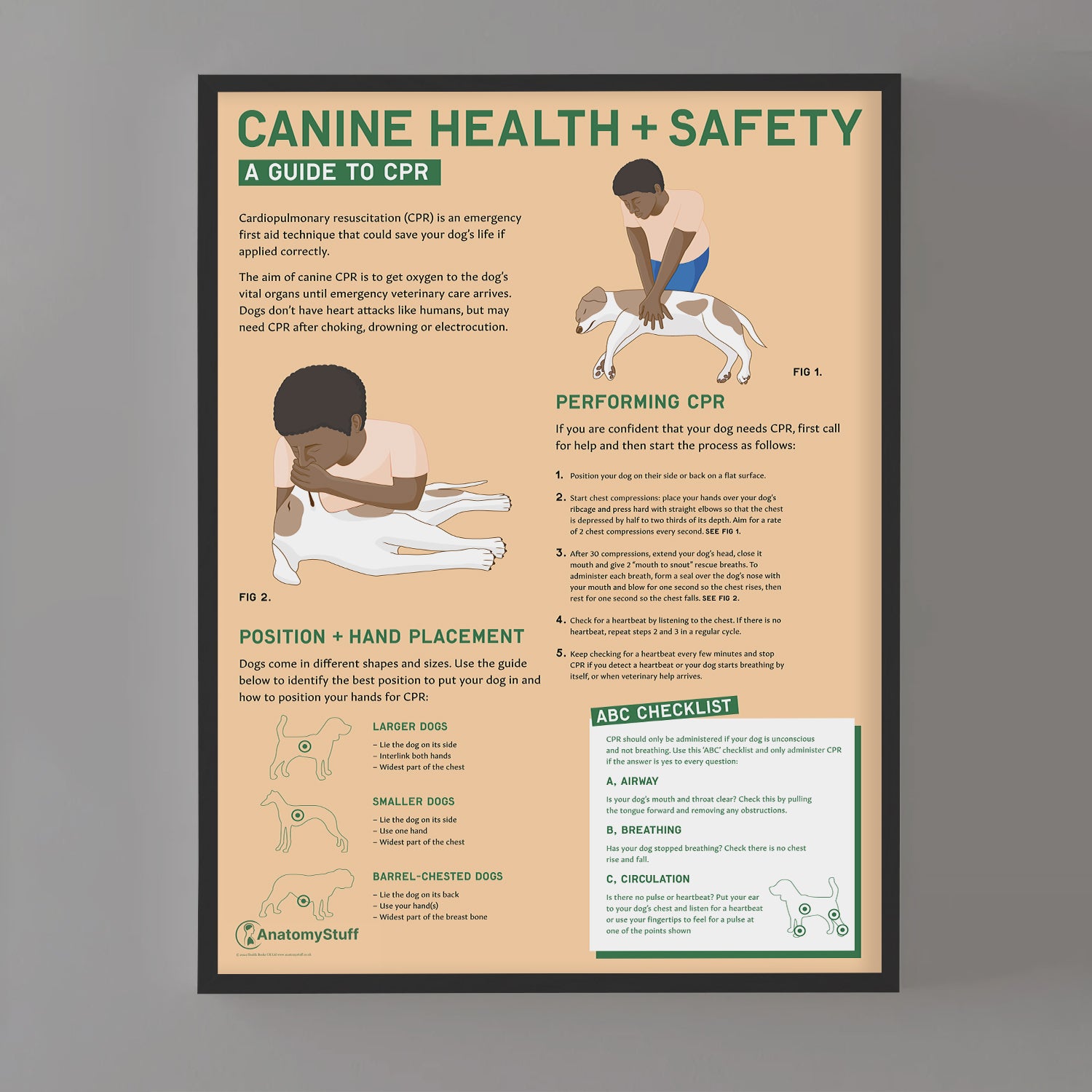 Canine Health & Safety: A Guide to CPR for Dogs Chart / Poster