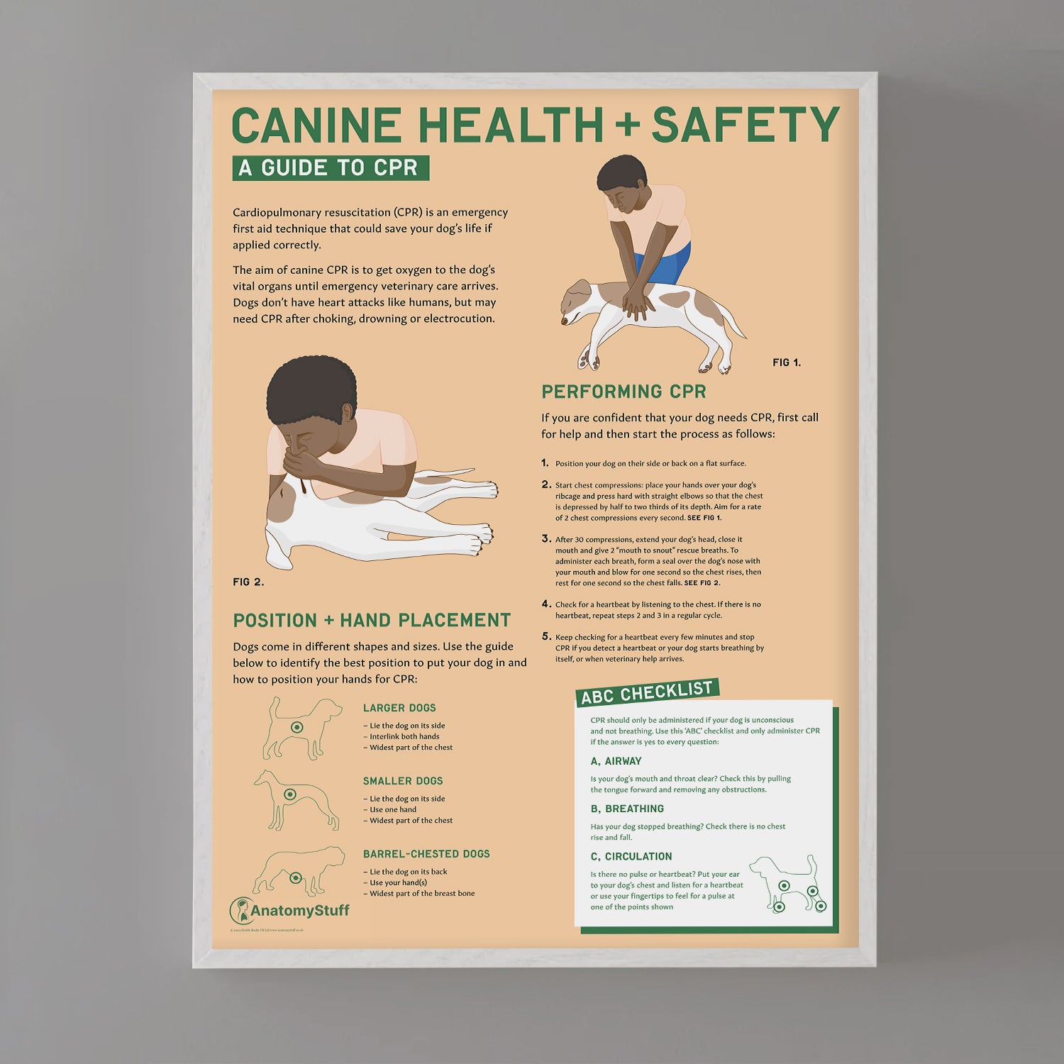 Canine Health & Safety: A Guide to CPR for Dogs Chart / Poster