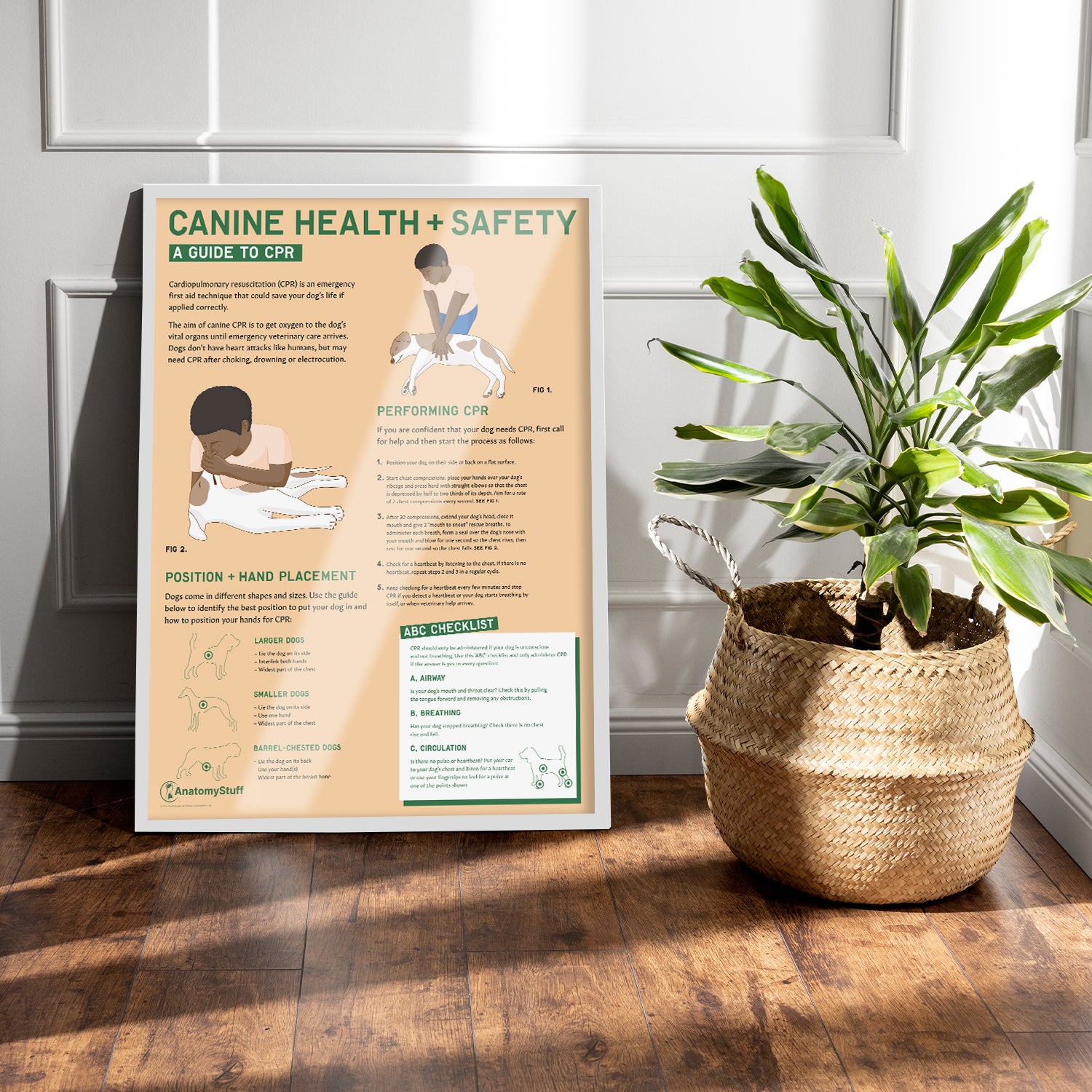 Canine Health & Safety: A Guide to CPR for Dogs Chart / Poster