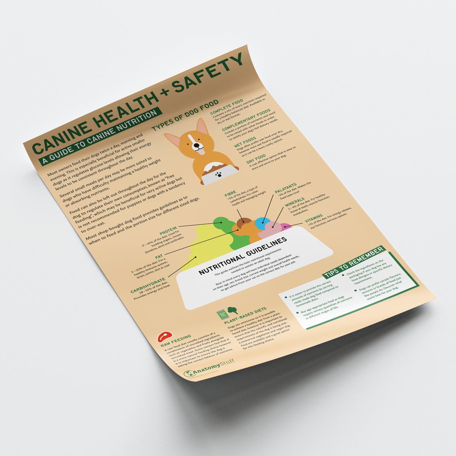 Canine Health & Safety: A Guide to Canine Nutrition Chart / Poster